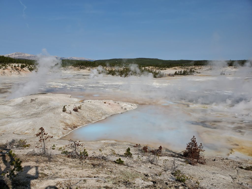 Norris Geyser Basin